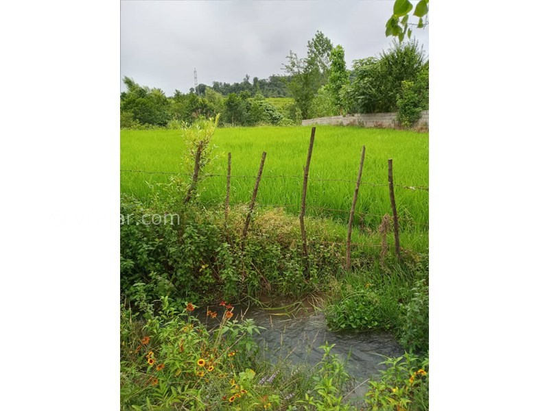 عکس شماره 628724 - اقامتگاه بومگردی گلناز -