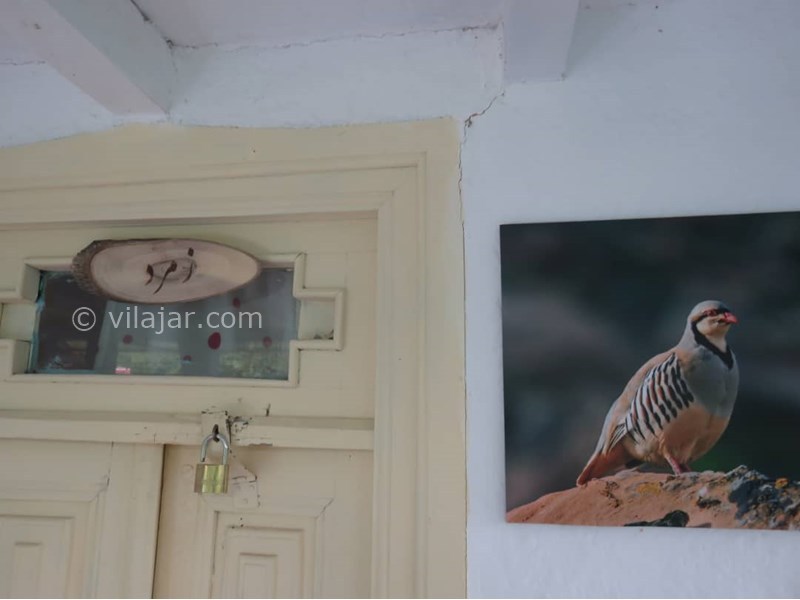 عکس شماره 628728 - اقامتگاه بوم گردی بام های سفالی - 