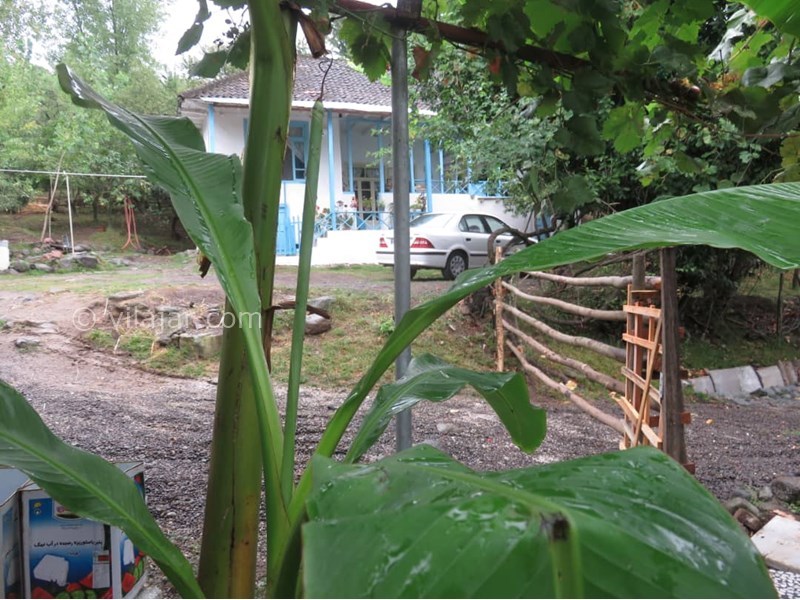 عکس شماره 628729 - اقامتگاه بوم گردی بام های سفالی - 