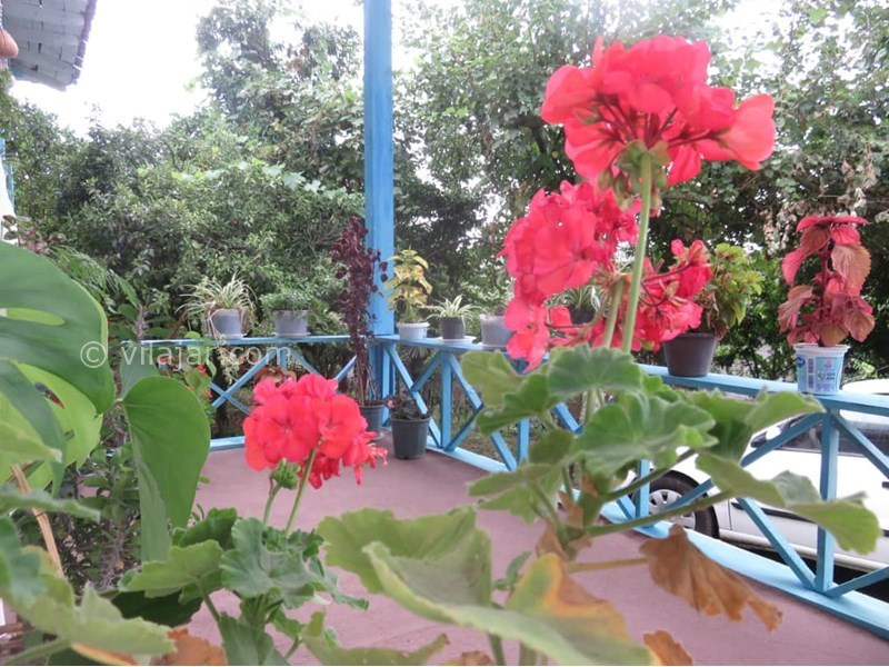 عکس شماره 628730 - اقامتگاه بوم گردی بام های سفالی - 