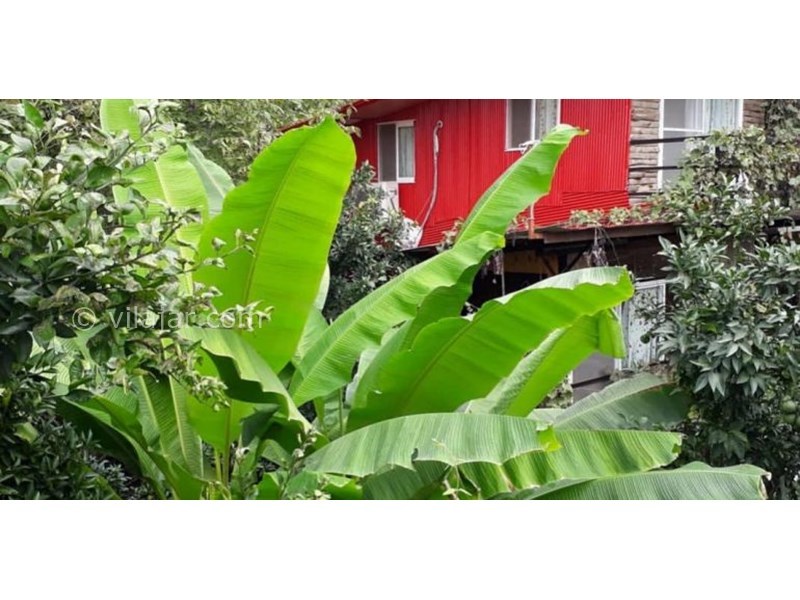 عکس شماره 628796 - اقامتگاه بوم گردی بومیت - 