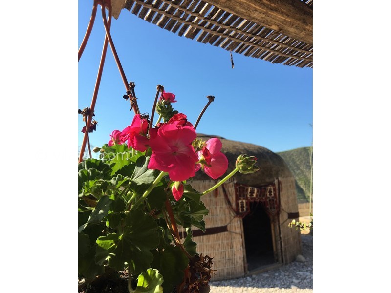 عکس شماره 628858 - اقامتگاه بومگردی ترکمن اوی -