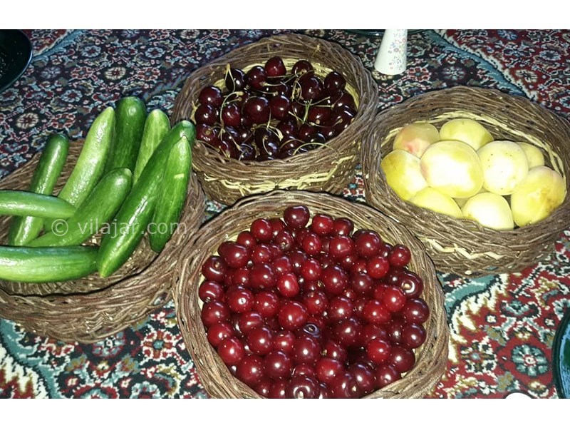 عکس شماره 628876 - اقامتگاه بوم گردی روژ - 