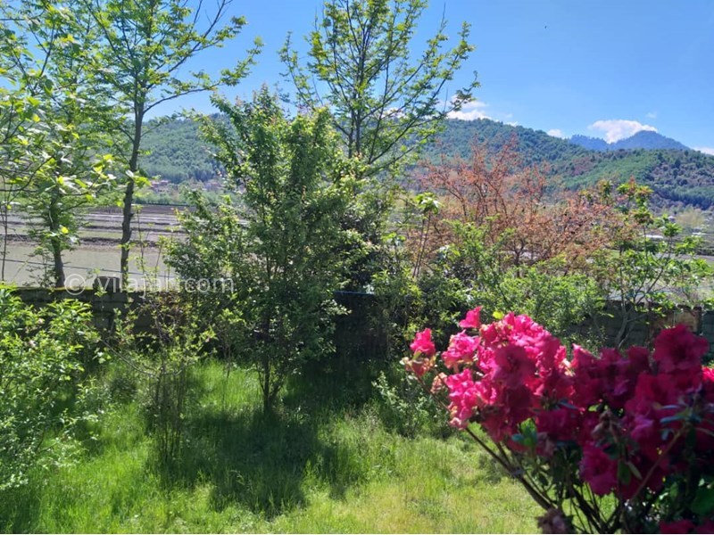 عکس شماره 628950 - اجاره ویلا در ماسال وشمه سرا - 