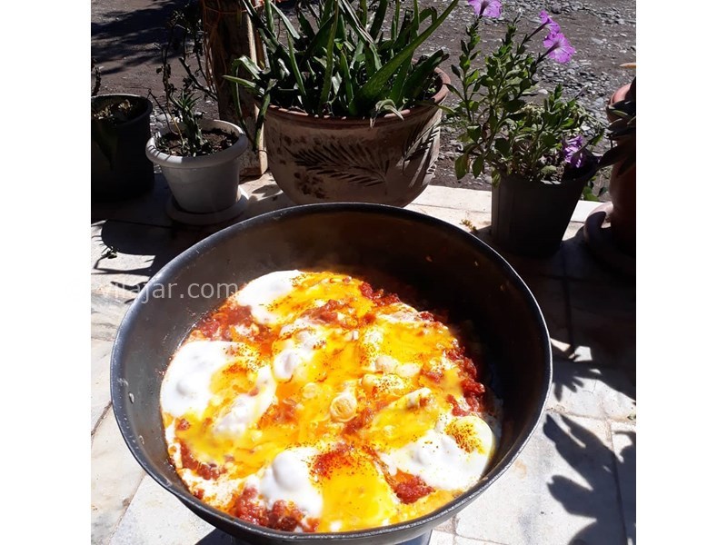 عکس شماره 629151 - اقامتگاه بوم گردی بومیت - 