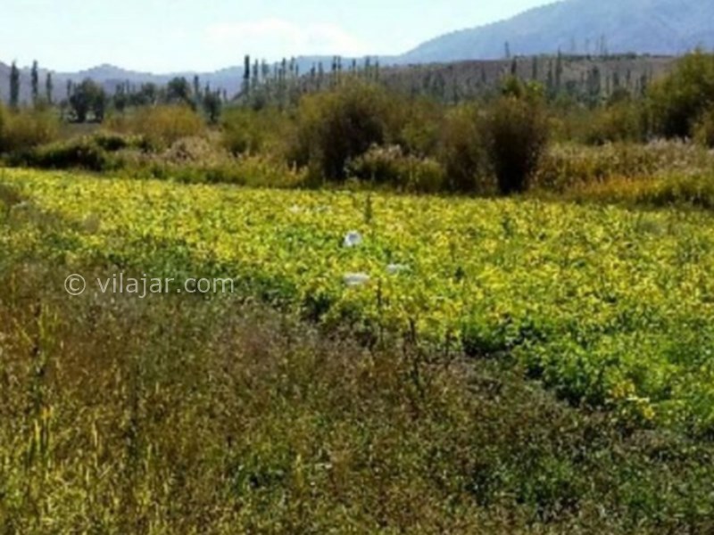 عکس شماره 629227 - اقامتگاه شیرخان در سله بن فیروزکوه - 