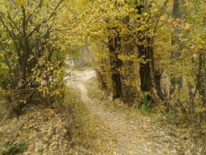 عکس شماره 629234 - اقامتگاه شیرخان در سله بن فیروزکوه - 