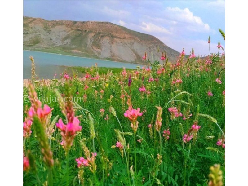 عکس شماره 629237 - اقامتگاه شیرخان در سله بن فیروزکوه - 