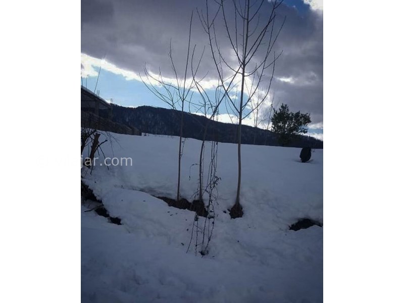 عکس شماره 629501 - اقامتگاه بومگردی ماسو - 