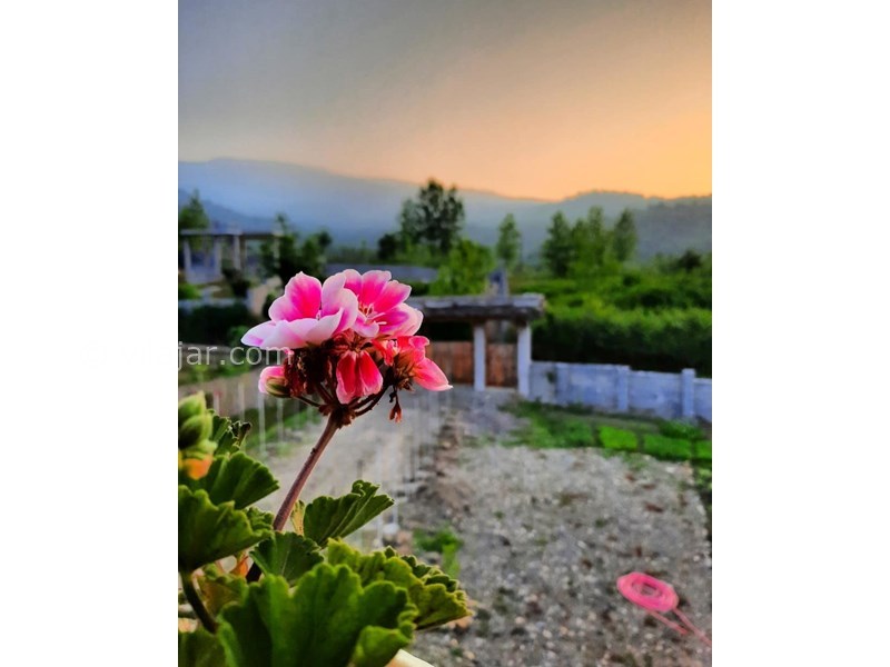 عکس شماره 629505 - اقامتگاه بومگردی ماسو - 