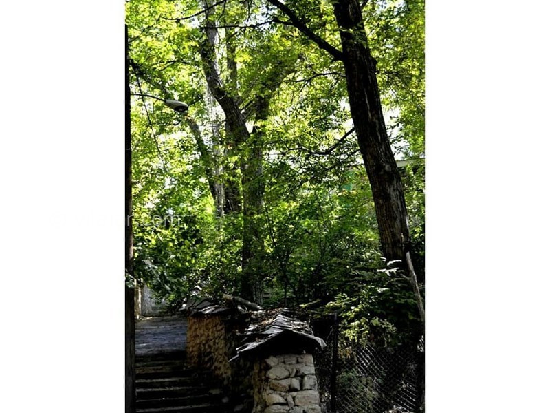 عکس شماره 629548 - اقامتگاه بومگردی خانه گردو - 