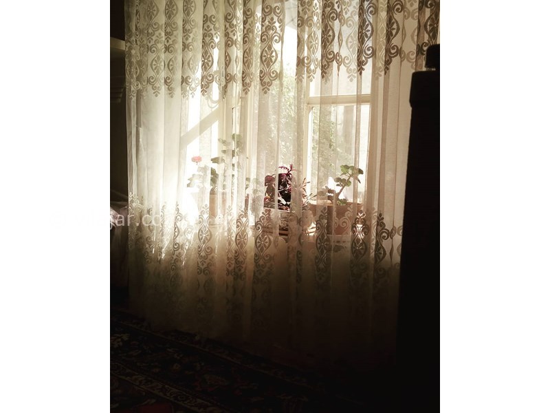 عکس شماره 629549 - اقامتگاه بومگردی خانه گردو - 