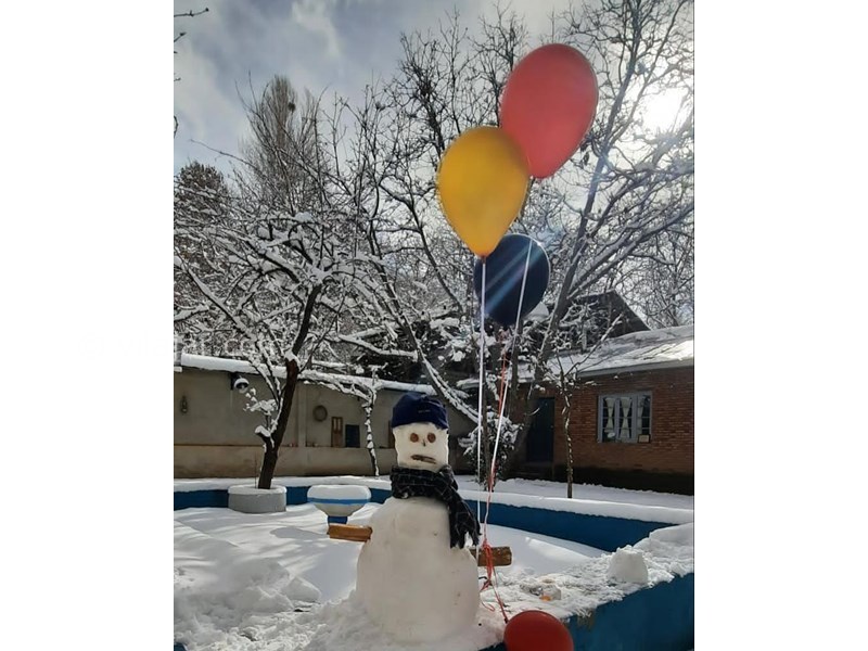 عکس شماره 629557 - اقامتگاه بومگردی خانه گردو - 