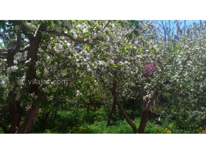 عکس شماره 629586 - اقامتگاه بوم گردی آرتین دماوند - 