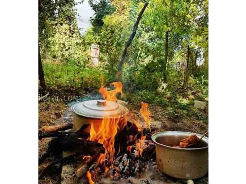 عکس شماره 629606 - اقامتگاه بوم گردی میکال - 