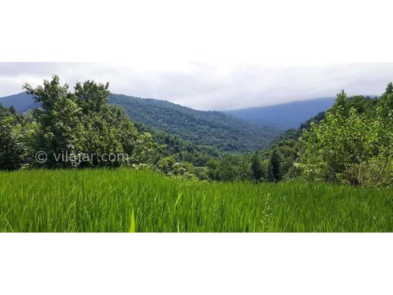 عکس شماره 629608 - اقامتگاه بوم گردی میکال - 