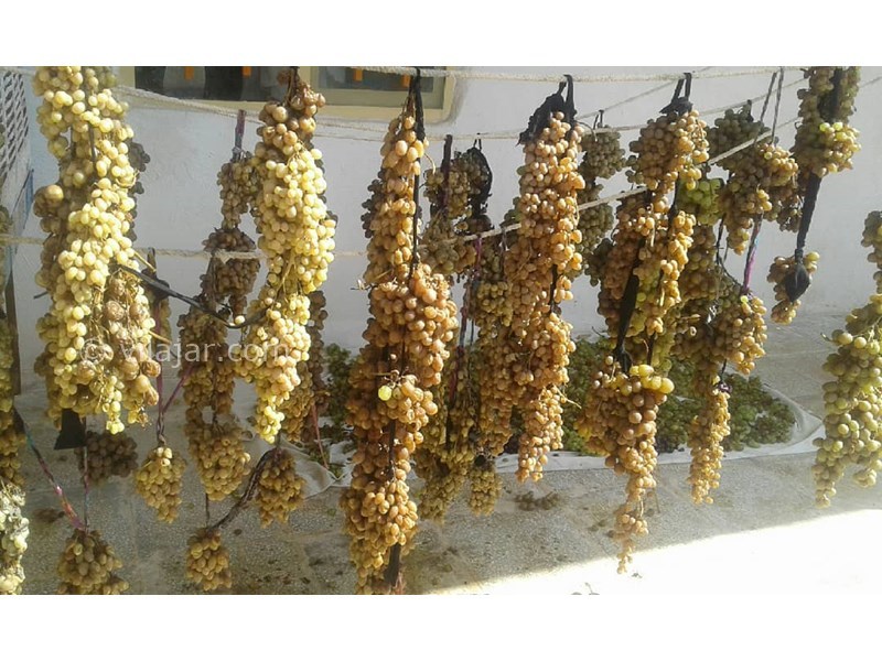 عکس شماره 629663 - اقامتگاه بوم گردی ثنا بلیقس - 