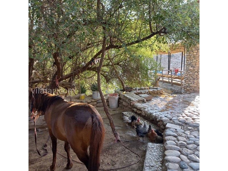 عکس شماره 629901 - اقامتگاه بومگردی عشایری پاپیلا - 