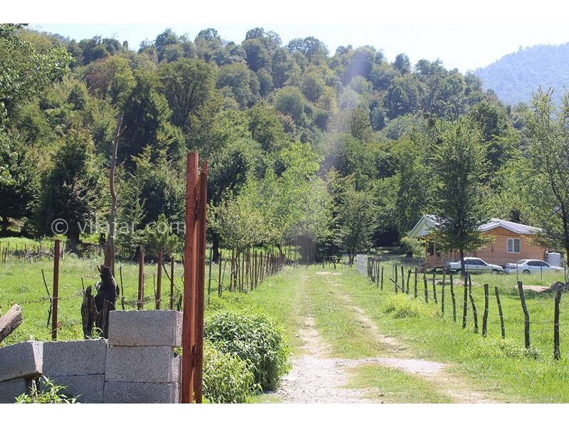 عکس شماره 630228 - اجاره کلبه جنگلی در ماسال - 