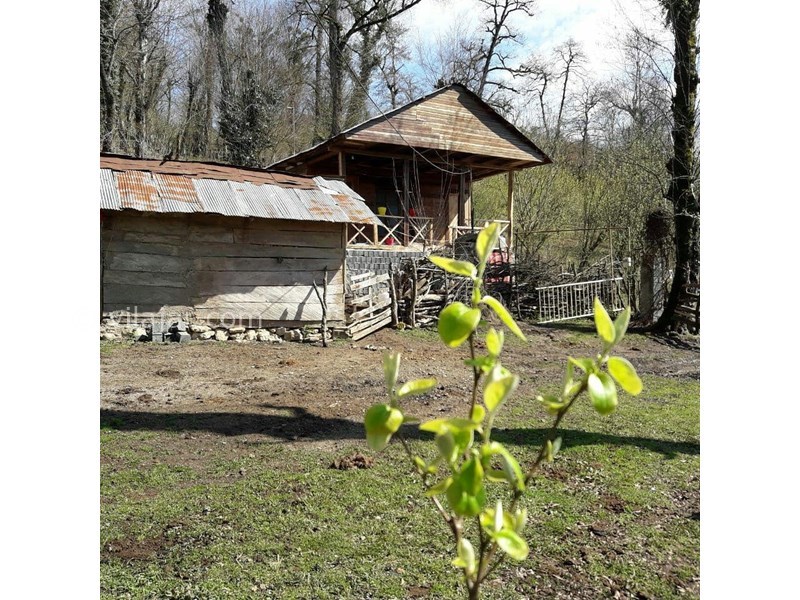 عکس شماره 630418 - اقامتگاه بومگردی دم زنون -