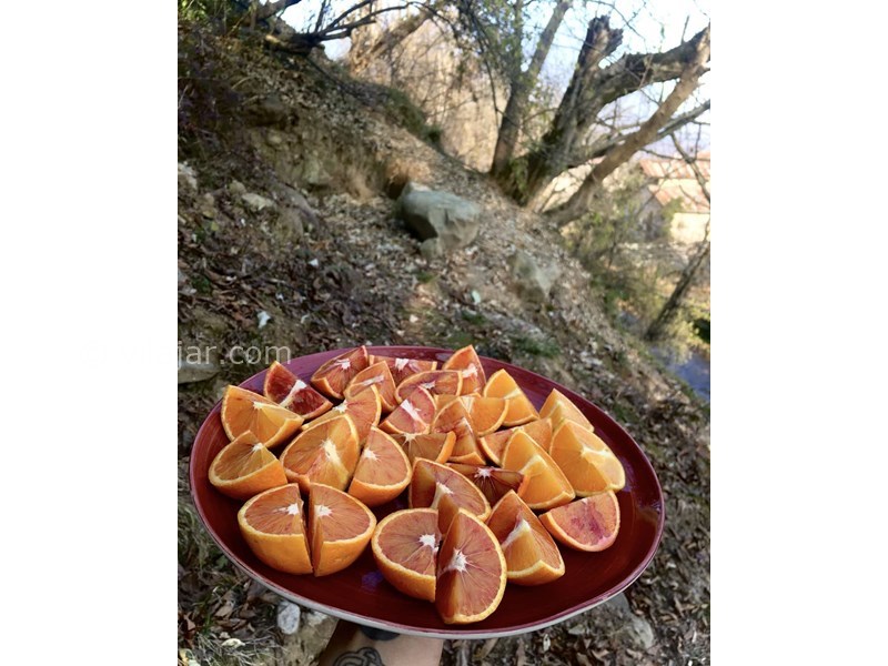 عکس شماره 630860 - اقامتگاه بوم گردی جانا - 