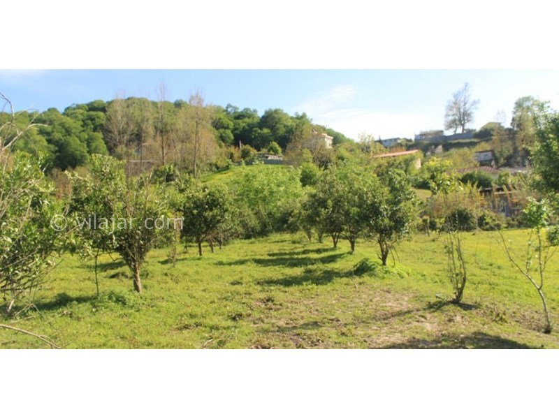 عکس شماره 631023 - اقامتگاه بومگردی سرای رستم - 