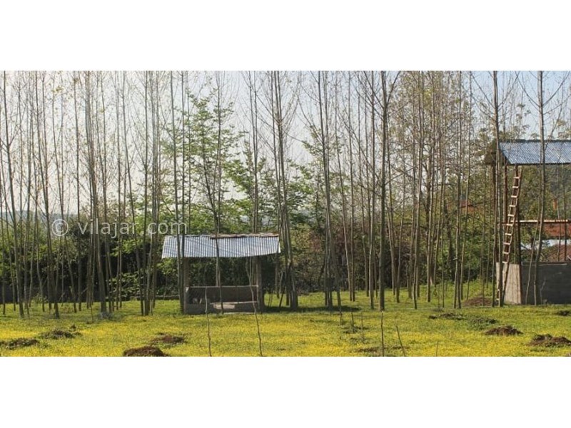 عکس شماره 631028 - اقامتگاه بومگردی سرای رستم - 