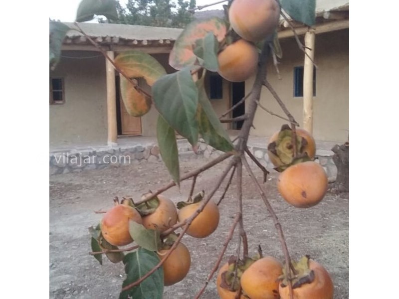 عکس شماره 631085 - اقامتگاه بوم گردی کاهگلی کلدر - 