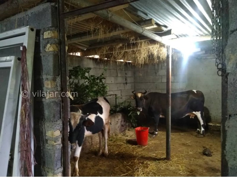 عکس شماره 631493 - اقامتگاه بومگردی سرای رستم - 