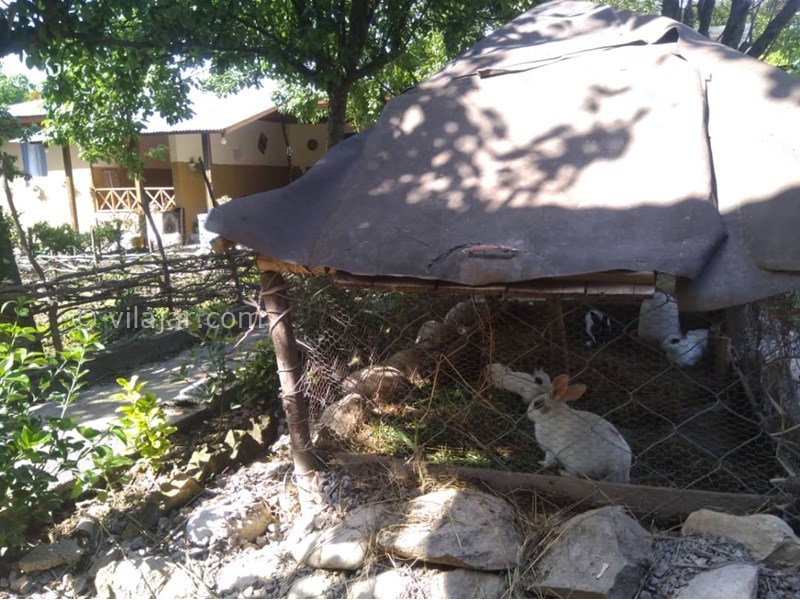 عکس شماره 631494 - اقامتگاه بومگردی سرای رستم - 