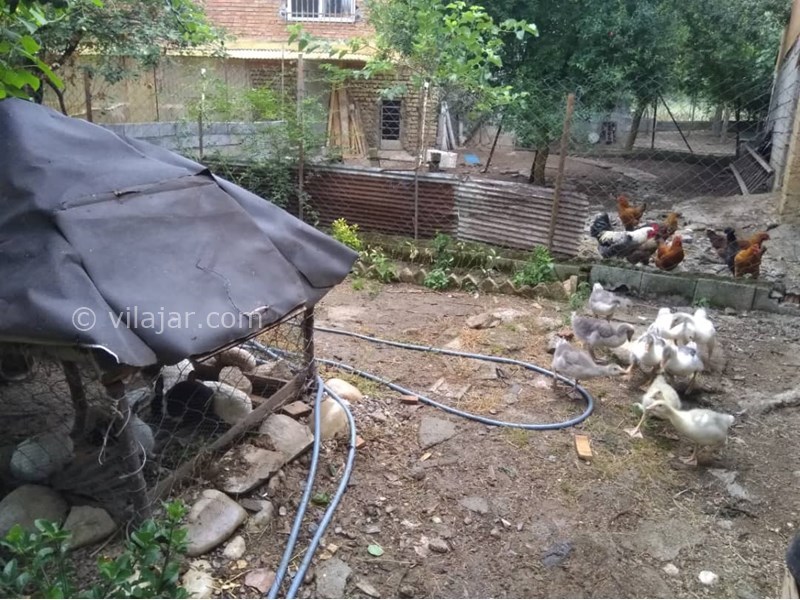 عکس شماره 631495 - اقامتگاه بومگردی سرای رستم - 