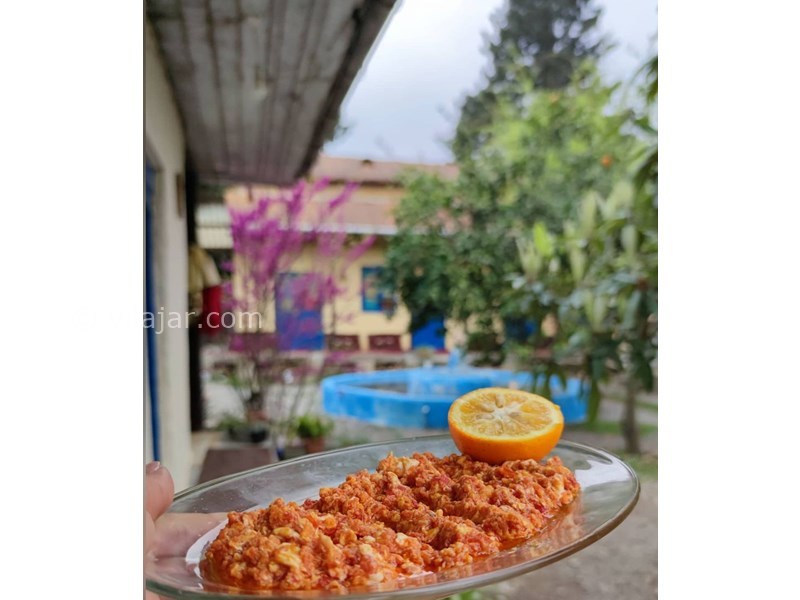 عکس شماره 631560 - اقامتگاه بوم گردی خان سره - 