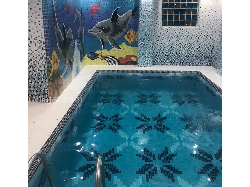 عکس شماره 631615 - اجاره ویلا با استخر دریاگوشه متلقو - 