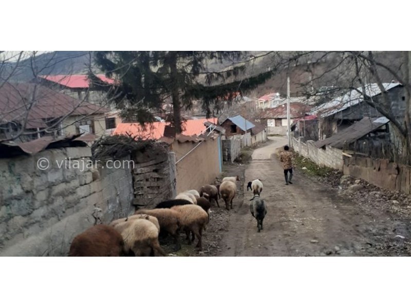 عکس شماره 631663 - اقامتگاه بوم گردی مرس سی - 