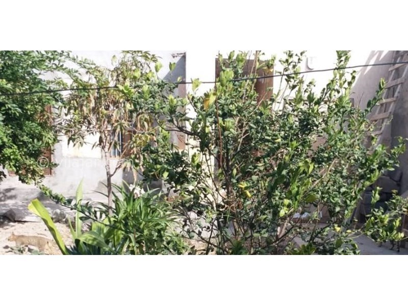 عکس شماره 631873 - اقامتگاه بوم گردی مادر حسن - 