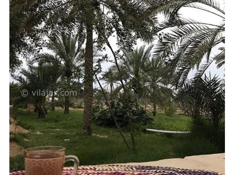 عکس شماره 631928 - اقامتگاه بوم گردی بامحمود - 