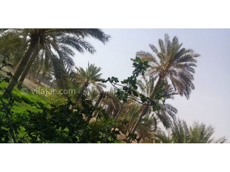 عکس شماره 631931 - اقامتگاه بوم گردی بامحمود - 