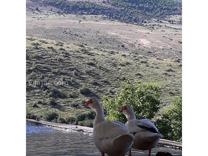 عکس شماره 632026 - اقامتگاه بوم گردی سورت - 