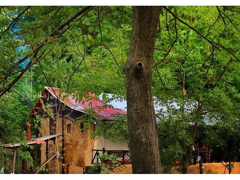 عکس شماره 632098 - اقامتگاه بومگردی افضل روآر - 