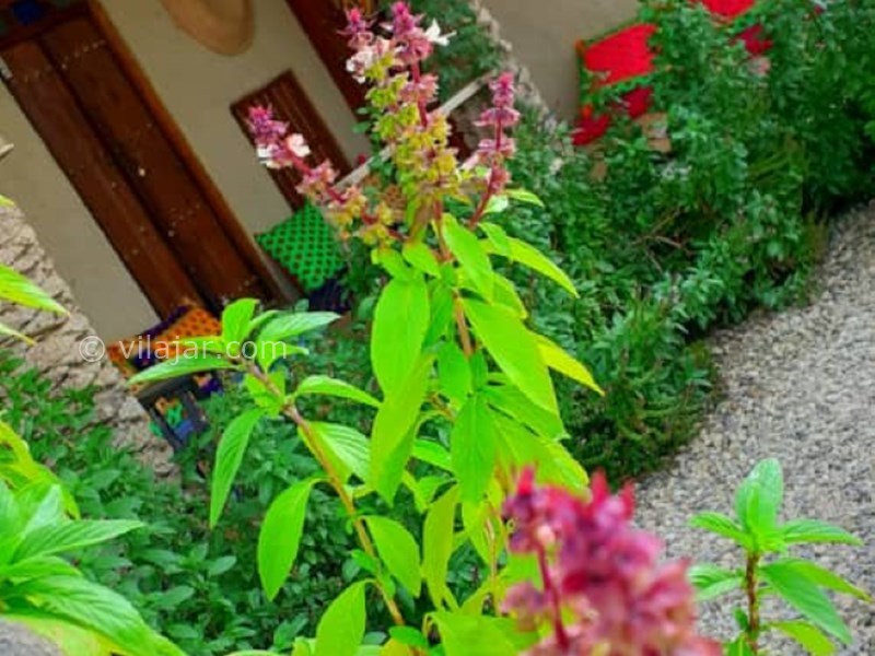 عکس شماره 632365 - اقامتگاه بوم گردی ناخدا احمد - 