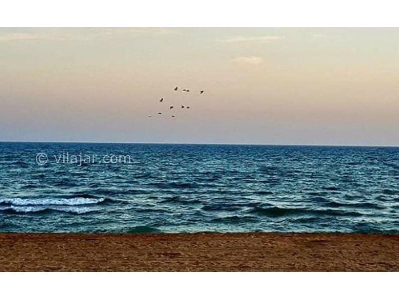 عکس شماره 632533 - اقامتگاه بومگردی باغ هنر - 