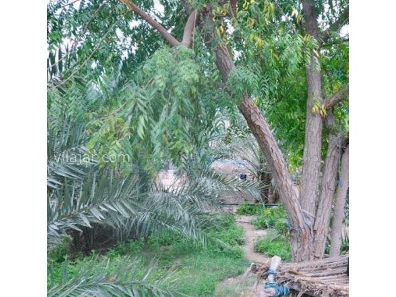 عکس شماره 632536 - اقامتگاه بومگردی باغ هنر - 