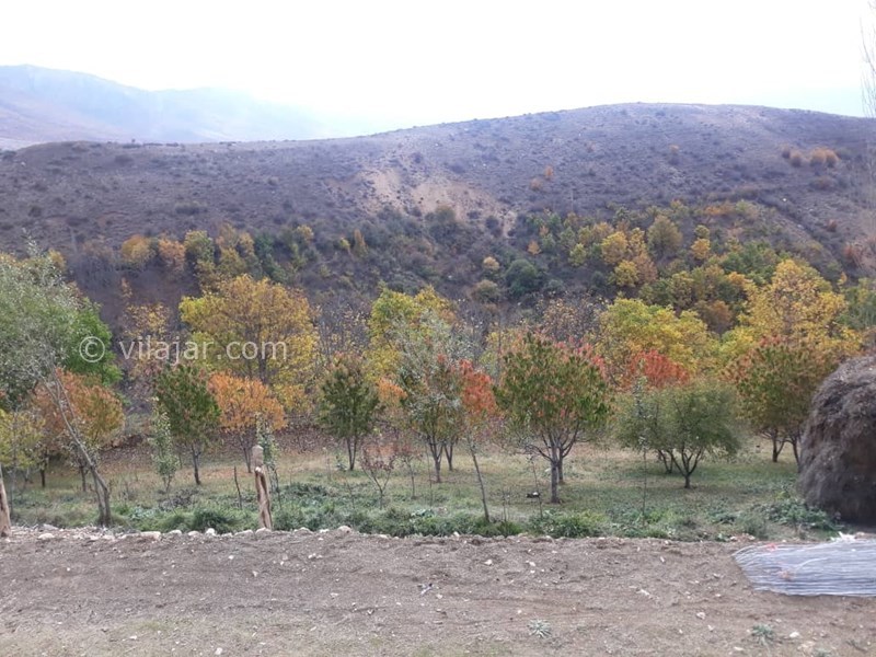 عکس شماره 632663 - اقامتگاه بوم گردی سورت - 