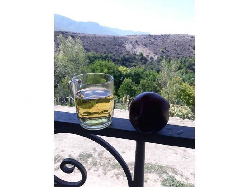 عکس شماره 632664 - اقامتگاه بوم گردی سورت - 