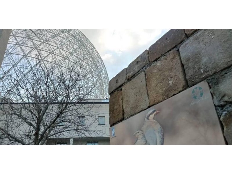 عکس شماره 632675 - خانه بومگردی نسیم میشان -