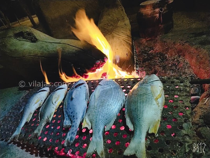 عکس شماره 632709 - اقامتگاه بوم گردی مدالی - 