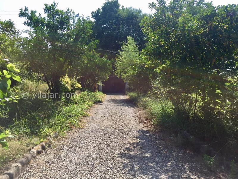 عکس شماره 632998 - اجاره ویلا در شمال گیلان - 