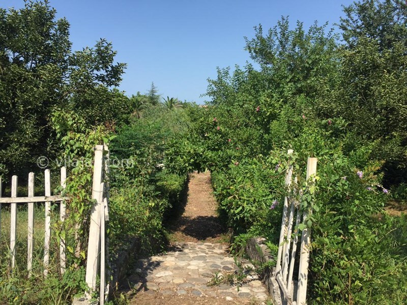 عکس شماره 632999 - اجاره ویلا در شمال گیلان - 