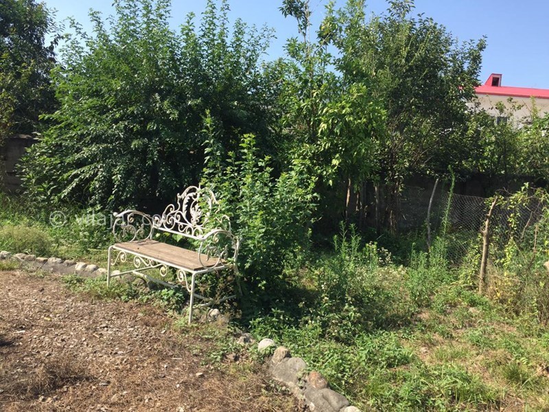 عکس شماره 633000 - اجاره ویلا در شمال گیلان - 