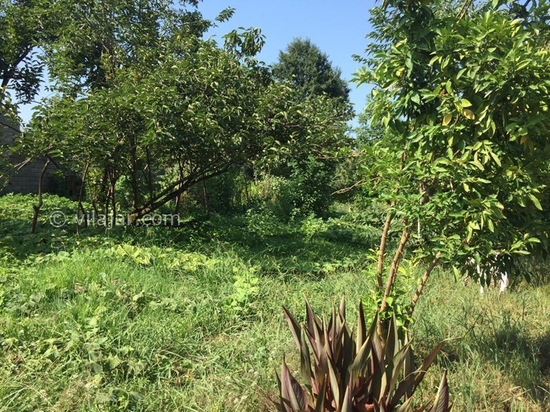 عکس شماره 633004 - اجاره ویلا در شمال گیلان - 